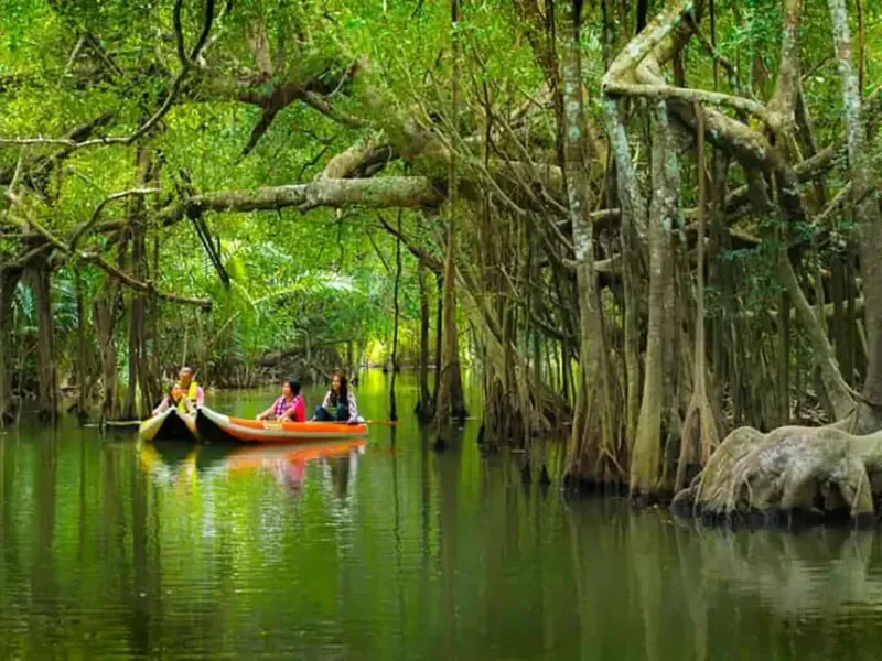 Little Amazon kayaks