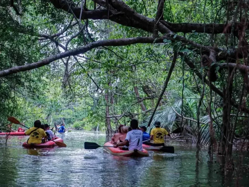 Paddling the canal